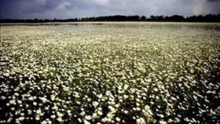 Bach - English Suite 5 in E minor BWV 810 - 6/7