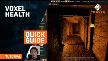 Crayta Quick Guide: Voxel health