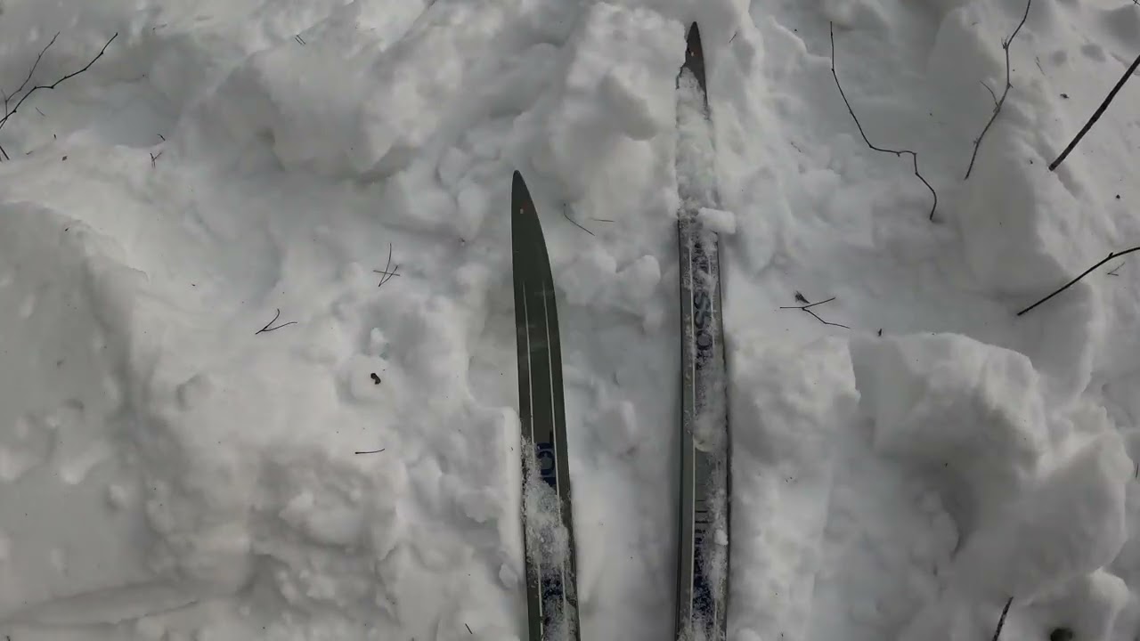 Немного по целине на лыжах и Сражаюсь с Сушиной!