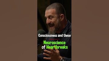 Neuroscientist: Science of HeartBreaks | Andrew Huberman| #andrewhuberman #shorts #yt