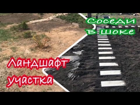 Ландшафт участка. Соседи были в шоке когда увидели...