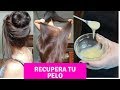 💪🌿ACABA CON LA CAIDA DE CABELLO CON ESTA RECETA DE LA INDIA //Maya belleza de la India