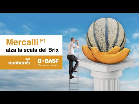 Melone Mercalli: alza la scala del Brix