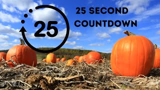 25 second countdown timer / classroom timer / music countdown