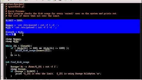 021  Perl Programming Language