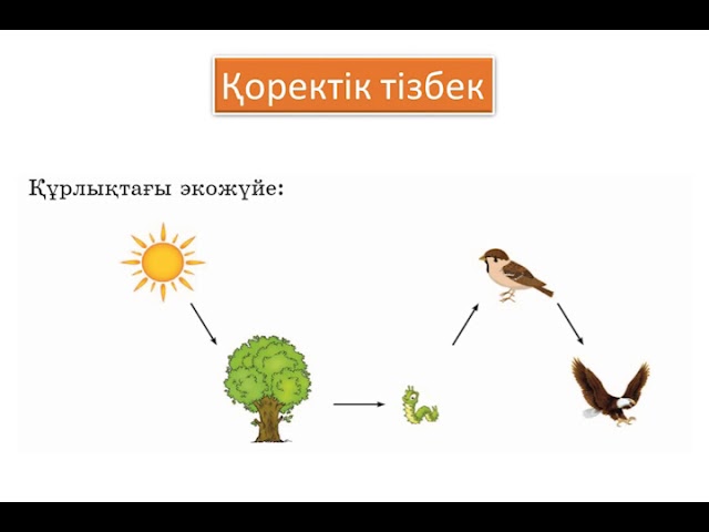 8-сынып оқушыларының жыныстық қатынасқа түсуі