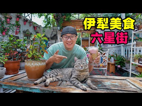 新疆伊宁六星街美食,大列巴冰淇淋,碎肉拌面,阿星吃米肠面肺子Street Food in Yining, Xinjiang Episode cover