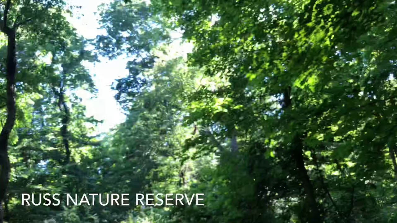 Russ Nature Reserve in Beavercreek Ohio - YouTube