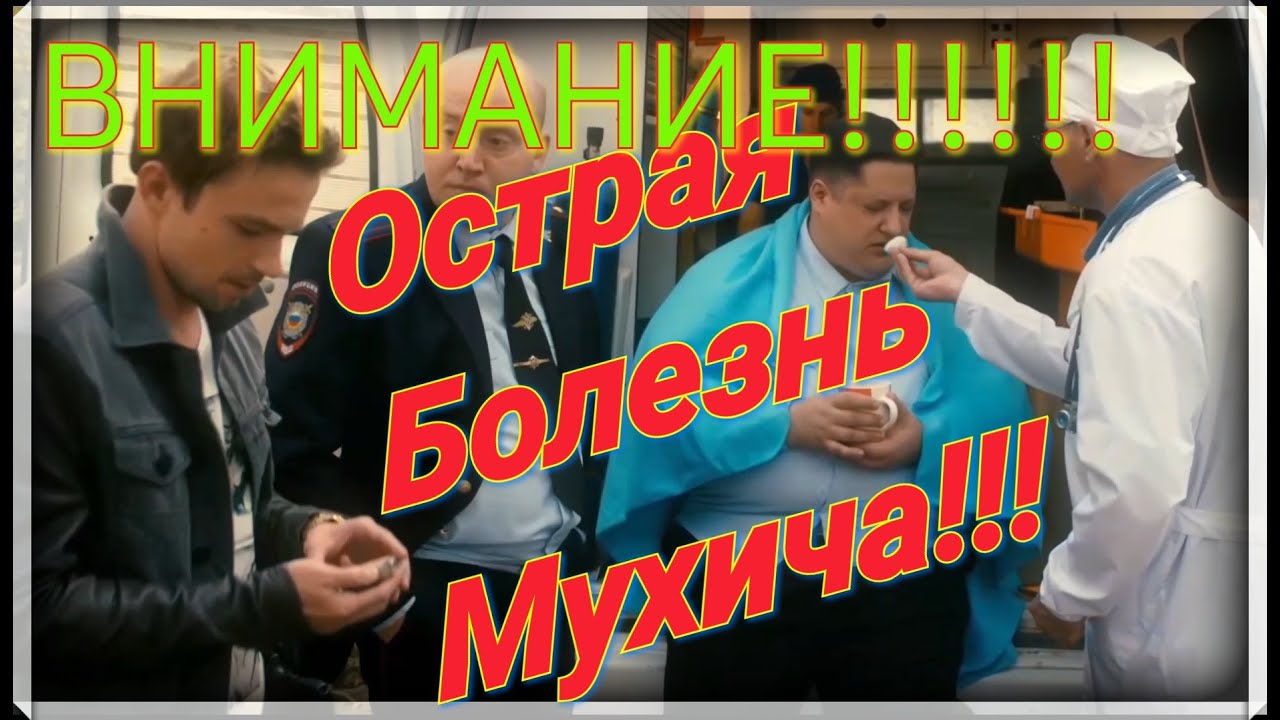Мухич в машине