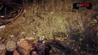 Red Dead Redemption 2 Funny Stagecoach Crash