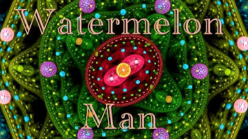 Watermelon Man [official video from "Prestidigitation (Sleight of Hand)"]