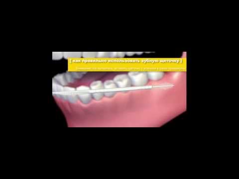 ЗУБОЧИСТКА №1 -