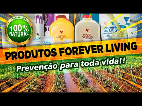 Como Limpar o