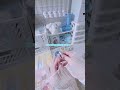 èŠèŽè
ããããã®ãã¬ãŒã³ãéå°ð«£ðPart1 #é°å²æ° #asmr #shorts #éå°åç» #ãããŽã¡