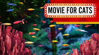 Movie for Cats - Colorful Fish (Videos for Cats to watch) 1 hour 4K