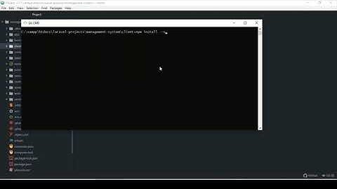 Updating Laravel Backend Autoloader + Installing Axios For Vue Frontend | 6