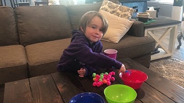Color Sorting and Counting with Pom Pom