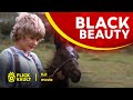 Black beauty  full movies for free  flick vault