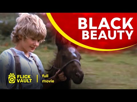 Black Beauty |