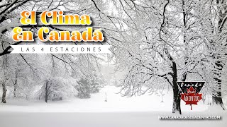 THIS IS THE WEATHER IN CANADA | THE 4 SEASONS OF CANADA | SPRING, SUMMER, AUTUMN, WINTER