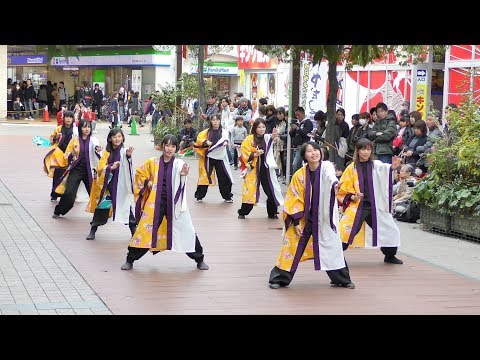 「 式部 」四日市よさこい やったろ舞2018【ふれあいモール】