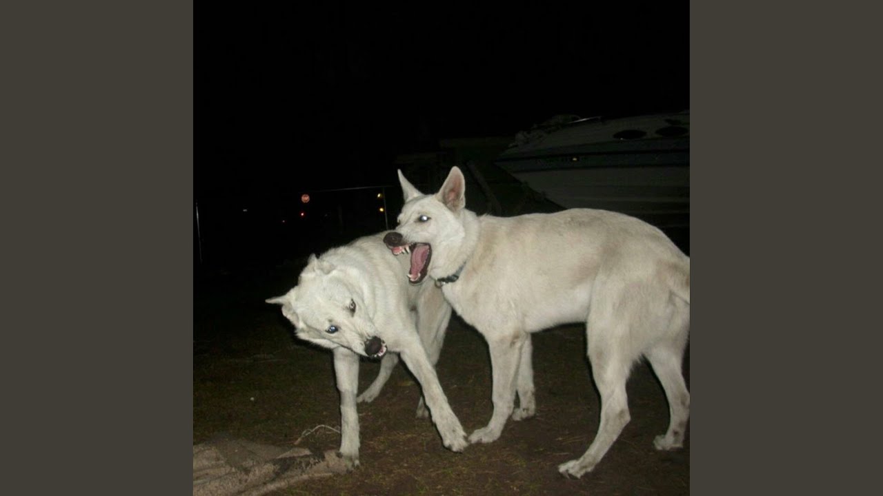 Παρακολούθηση forward στο YouTube Παρακολούθηση forward στο YouTube