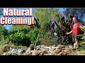 How to Build a Bog Filter for Your Natural Swimming Pond! (DIY Natural Swimming Pond Build Vid#6)