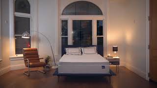 Dozy - See This Mattress?