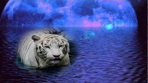 Craig Padilla - Ascension from "Genesis" - www.jhanamusic.com - 5.1 surround music online