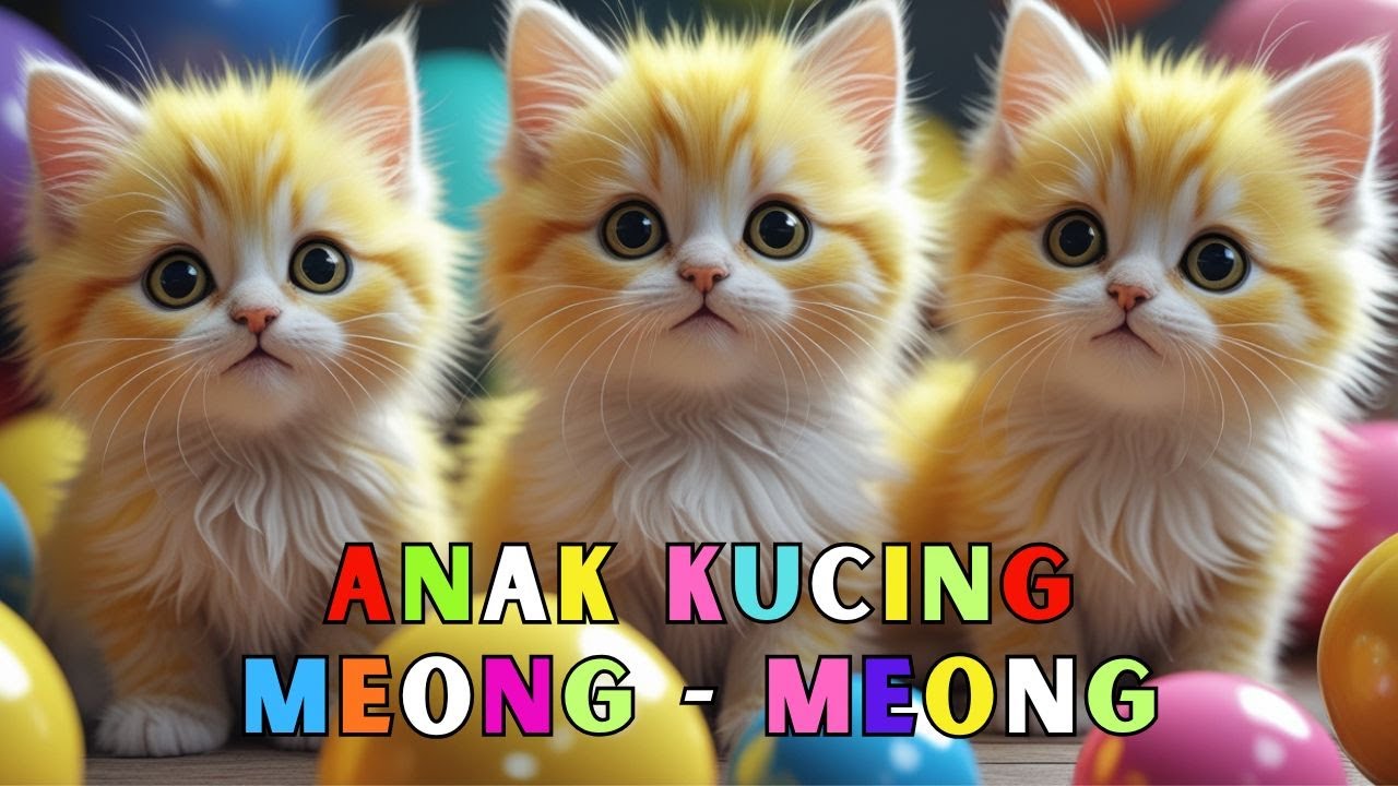 KUCING MANDI BOLA - ANAK KUCING MEONG MEONG - KUCING LUCU