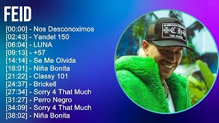 Feid 2025 MIX Top Hits - Nos Desconoximos, Yandel 150, LUNA, +57