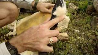 OperationalExtras Tracker touch up