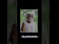 OLD IS GOLD #shorts #viral #himeshshots #comedy #comedyshorts