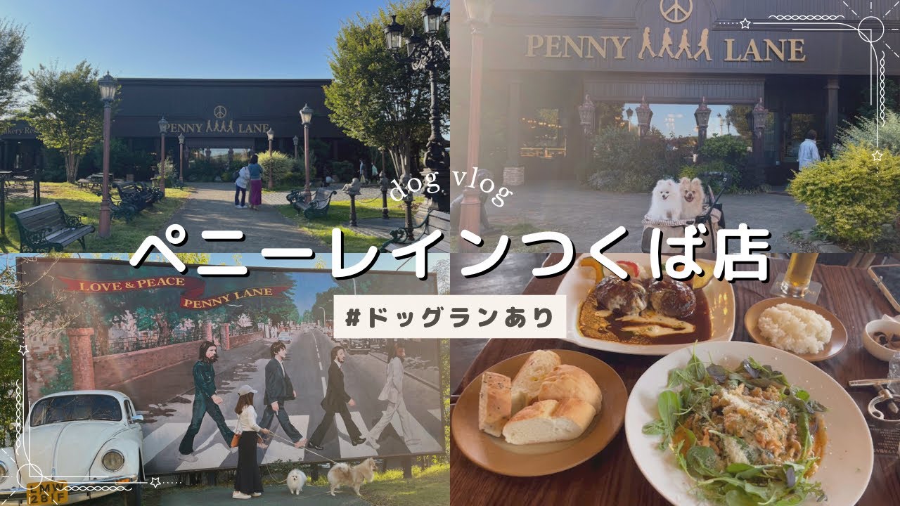 【犬と行けるカフェ】ペニーレインつくば店｜ドッグランあり