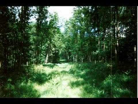 Gandalf's Song of Lorien (Tolkien)