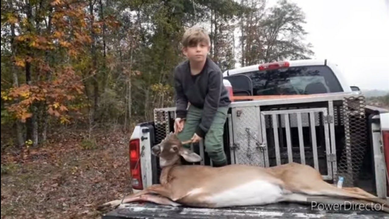 Dog drive Bamberg. South Carolina YouTube