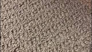 Letterblocks - How The Alphabet got its order?