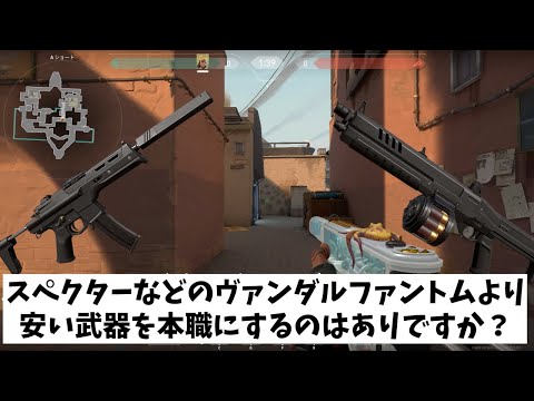 VALORANT法律部門　弁護士本職武器