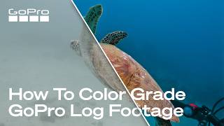 See How to Color Correct GPLog-2 Footage Like a Pro
