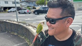 Good Portuguese sausage at Sweet Es cafe and a conure to boot!