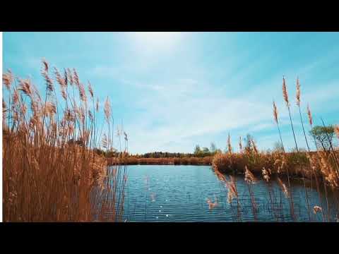 ساعة تأمل في عظمة الخالق مع موسيقى هادئة لراحة النفس التامة Relaxingmusic 