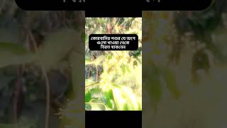 কোরবানির পশুর সাতটি অঙ্গ খাওয়া জাবে না #viralreels #4kstatus #music #hit2026