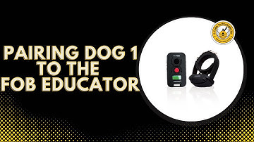 Pairing your FOB for dog 1