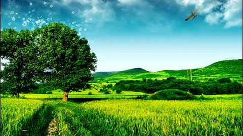 القارئ فارس عباد || سورة التوبه !!