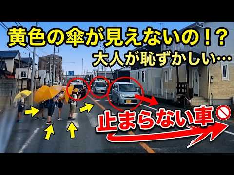 横断歩道で止まったのは撮影者だけ…子どもの方が気を遣う現実