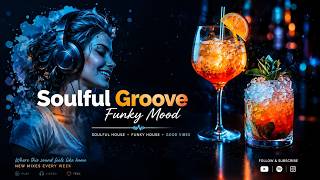 Soulful Groove - Funky Mood 020 | 1h Soulful & Funky House