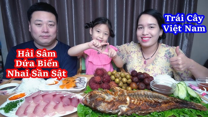 Khám Phá Thế Giới Hải Sâm Sống
