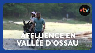 Tourisme Affluence En Vallée Dossau