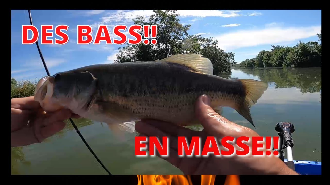 peche blackbass marans sevre