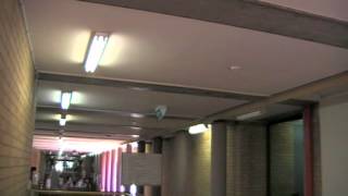 Assessing Lighting Environment